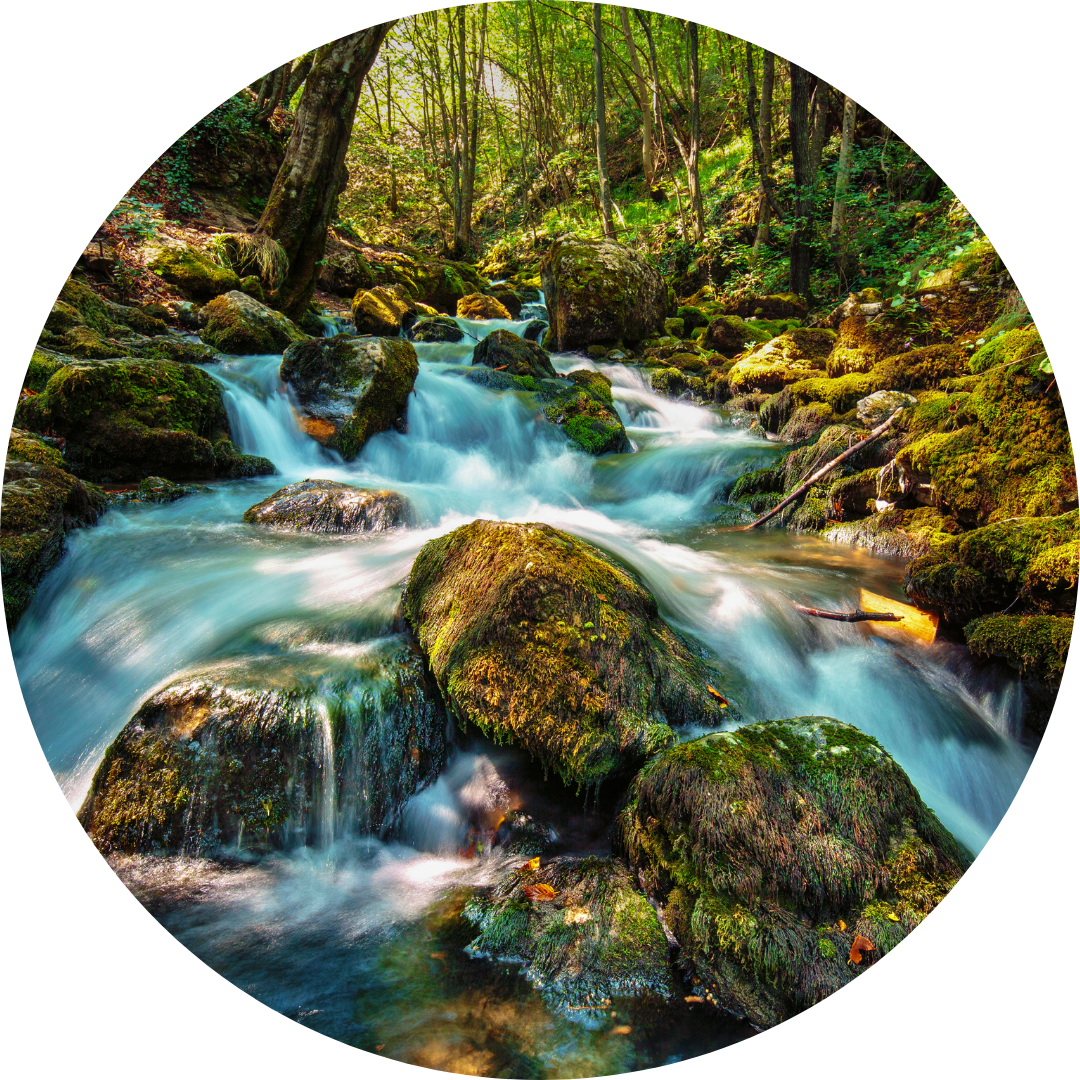 Lymfedrainage massage laat je lymfe weer stromen. Bewuster en Gezonder in Kesteren. 