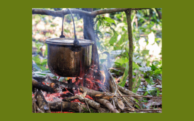 Miltenergie en je Spijsvertering