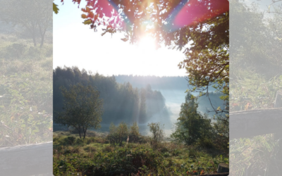Holistische Gezondheidspraktijk