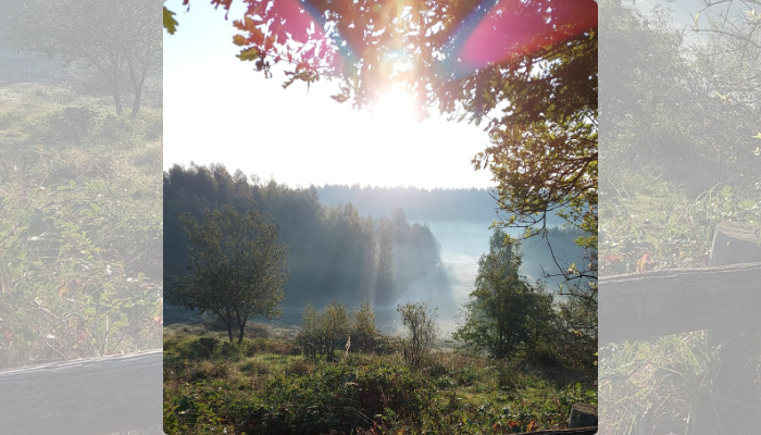 Holistische Gezondheidspraktijk